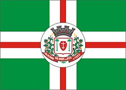 Bandeira de São Miguel do Oeste